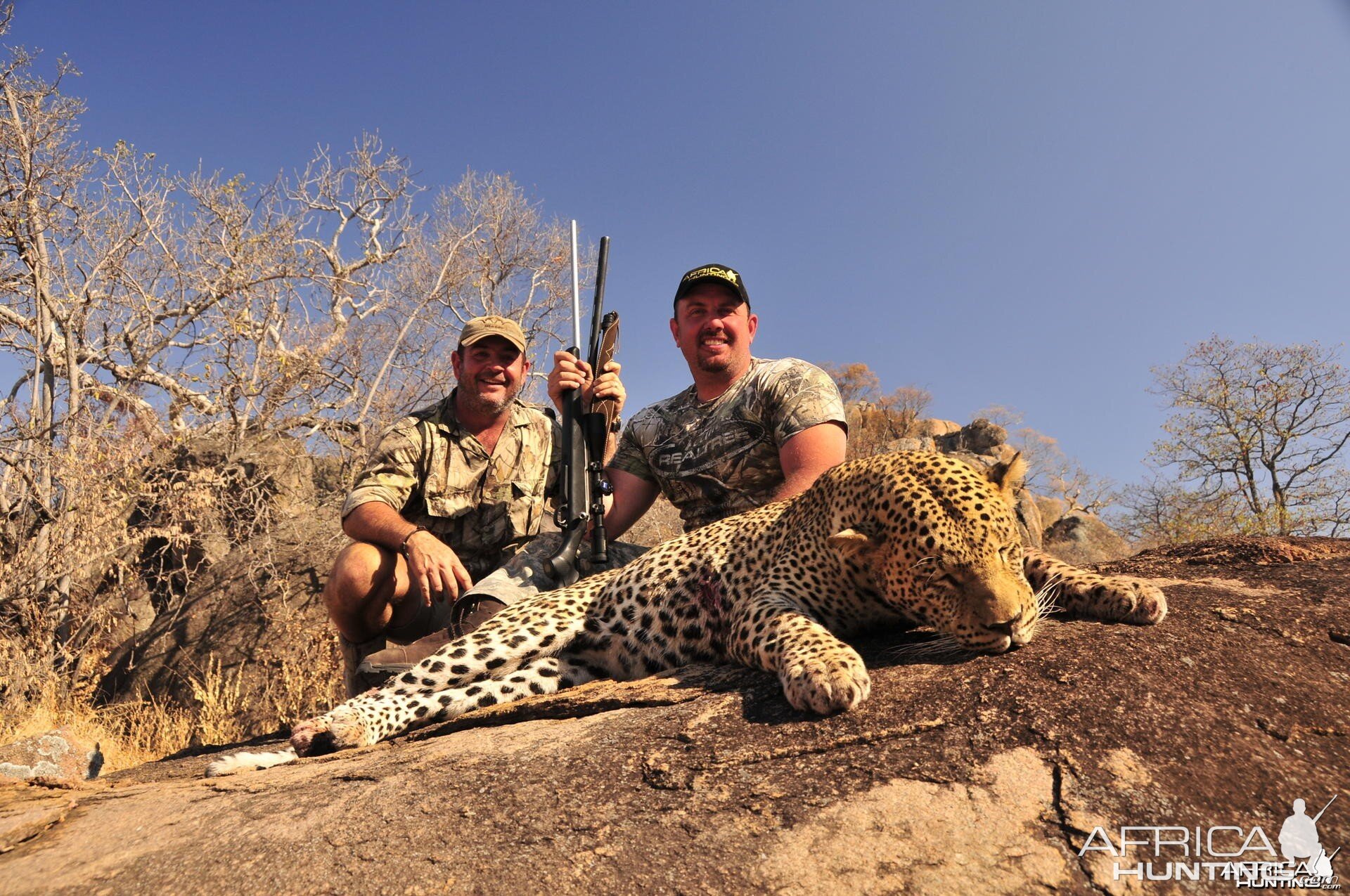 Zimbabwe Leopard