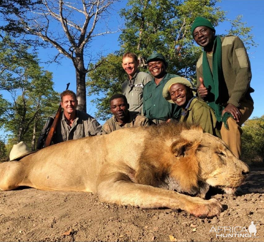 Zimbabwe Lion Hunt