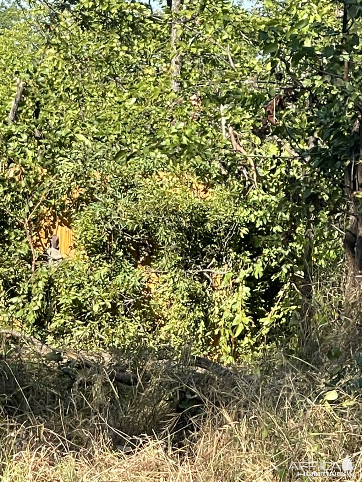 Zimbabwe Nature