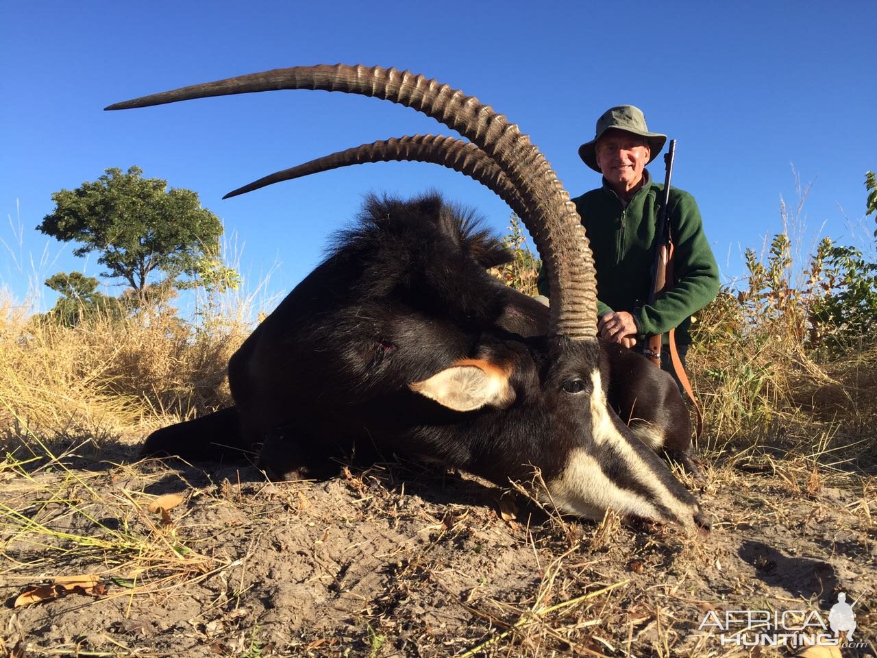 Zimbabwe Sable Hunt