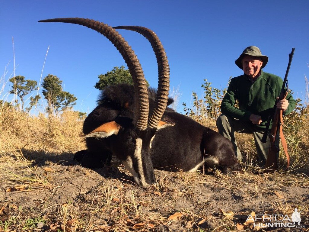 Zimbabwe Sable Hunt