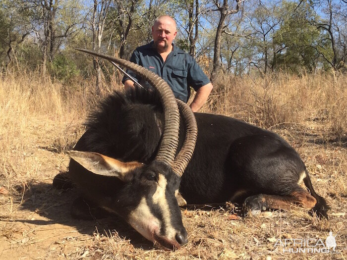 Zimbabwe Sable Hunt