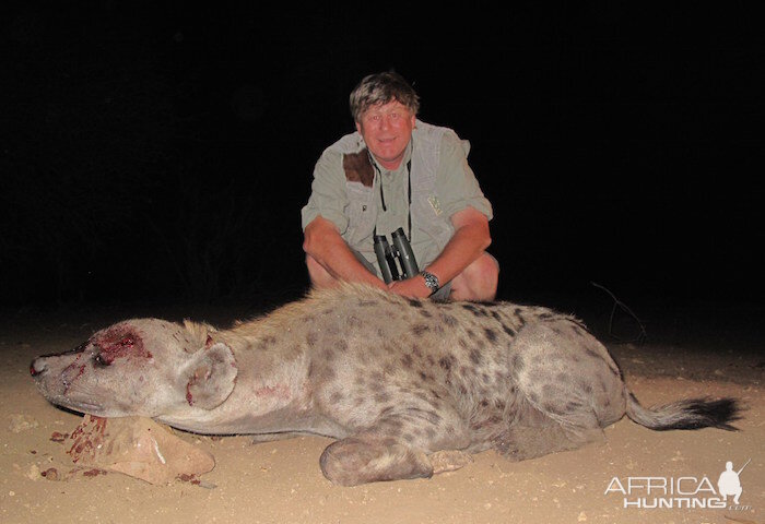 Zimbabwe Spotted Hyena Hunting