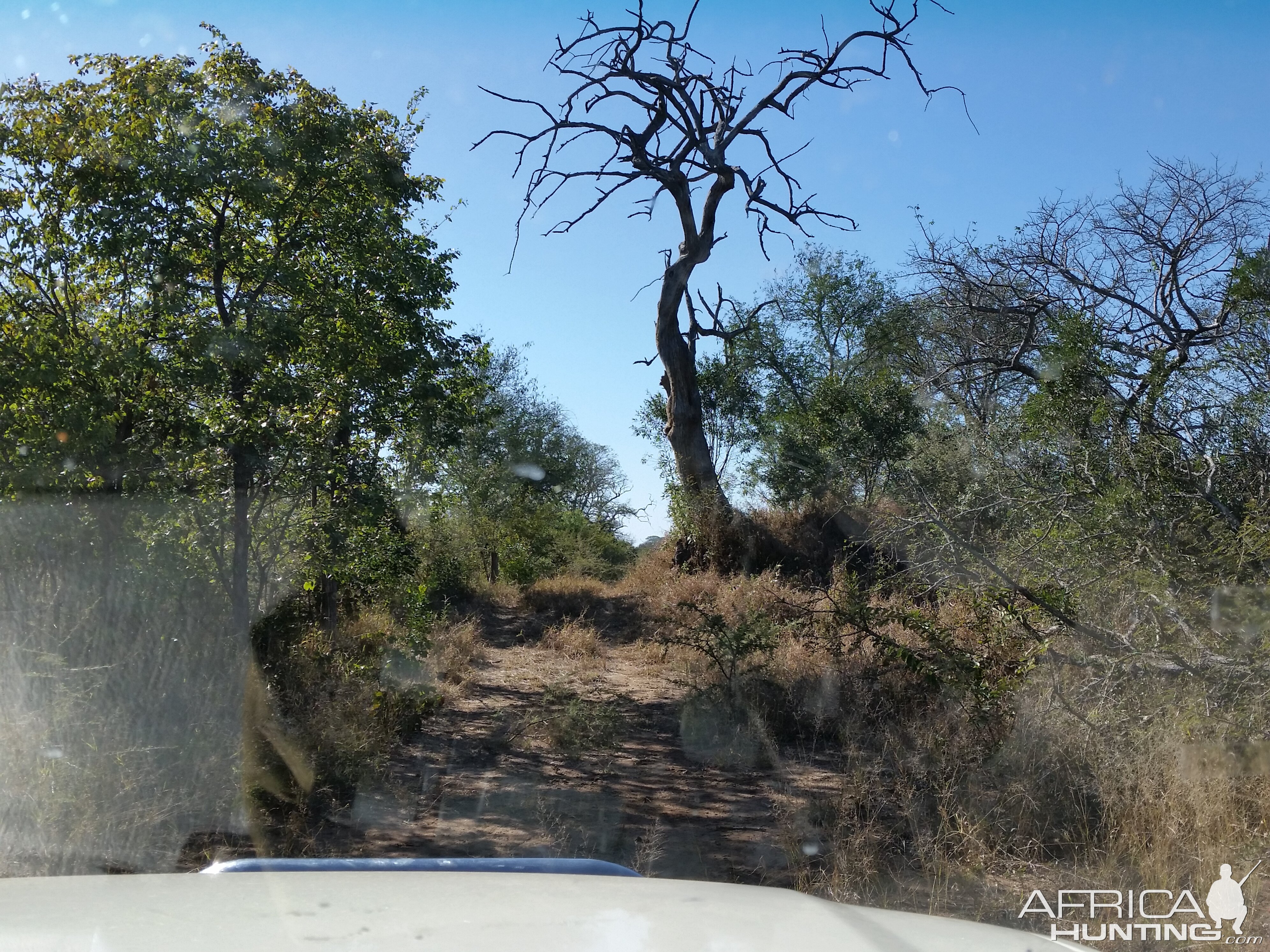 Zimbabwe Terrain & Landscape