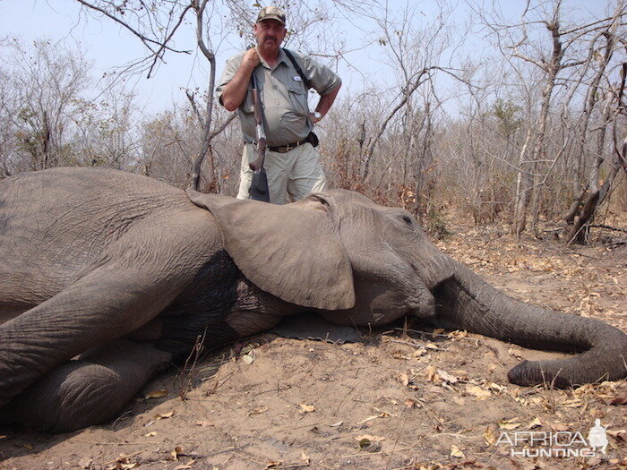 Zimbabwe Tuskless Elephant Hunting