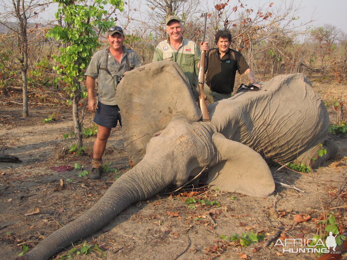 Zimbabwe Tuskless Elephant Hunting