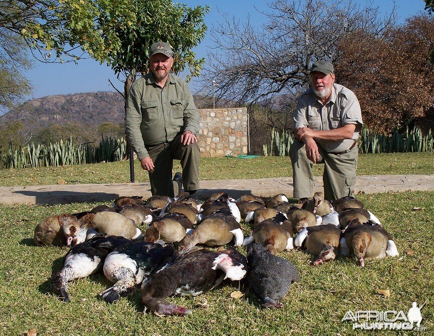 Zimbabwe - Waterfowl